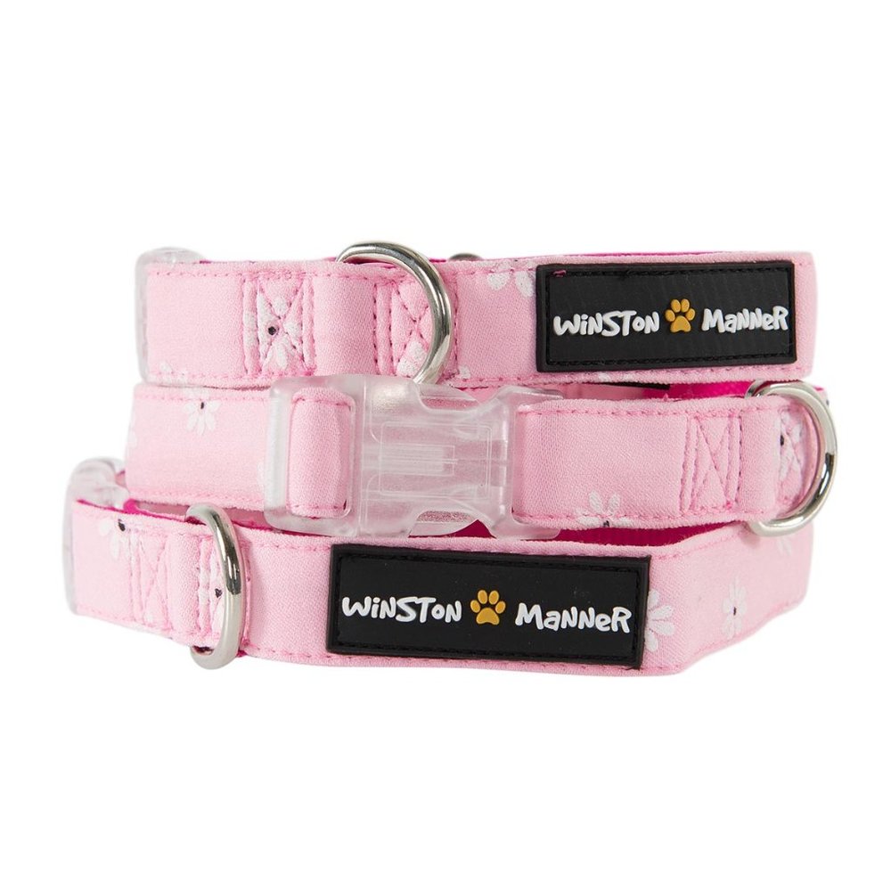 Winston Manner Designer Dog Collar in Spring Daisy